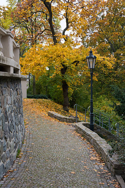 istock Lamp in the Park 617360720