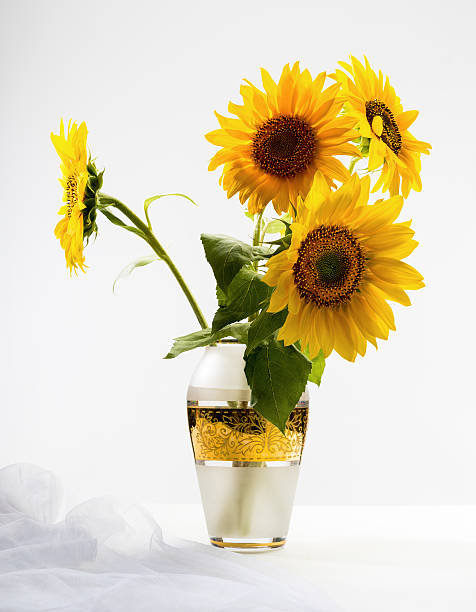 bouquet of blooming sunflowers