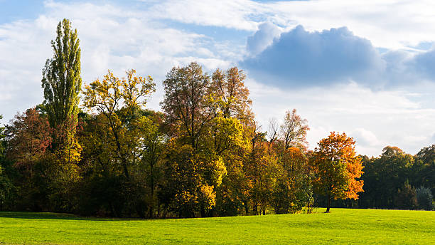 istock autumnal parkland - Indian Summer 617360980