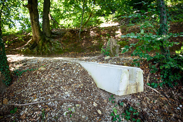 istock Concrete storm rain drainage on a footpath in the forest. 617361994