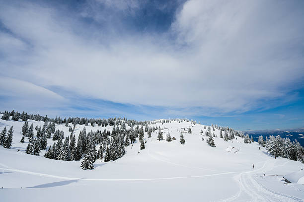 istock Winter Scenics With Snow Covered Cottage 617364260