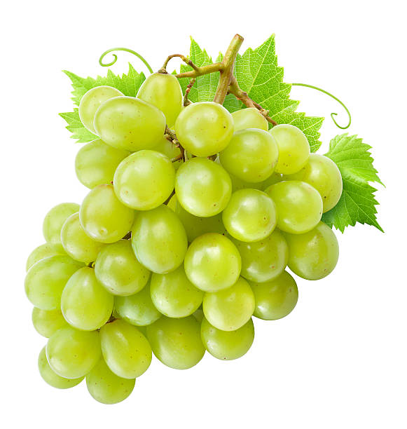 istock Fresh green grapes with leaves. Isolated on white. Clipping path. 617365446