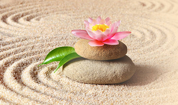istock sand, lily and spa stones in zen garden 617365582