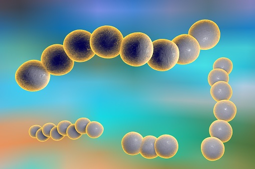 Bacteria Streptococcus, gram-positive spherical bacteria on colorful background. 3D illustration