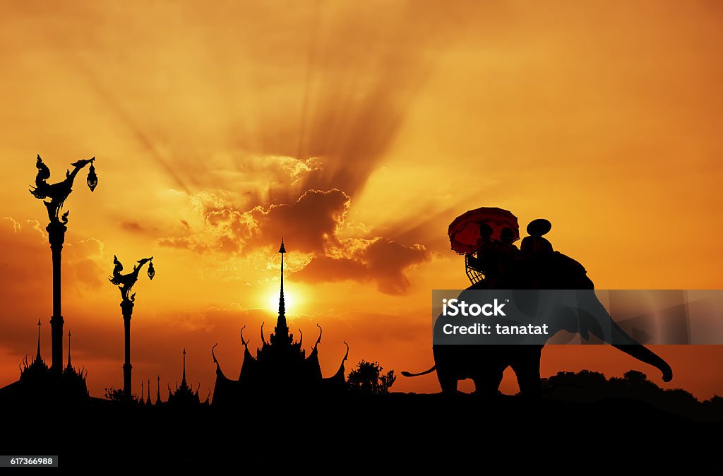 Silhouette of Elephant  with Temple in Thailand Elephant Stock Photo