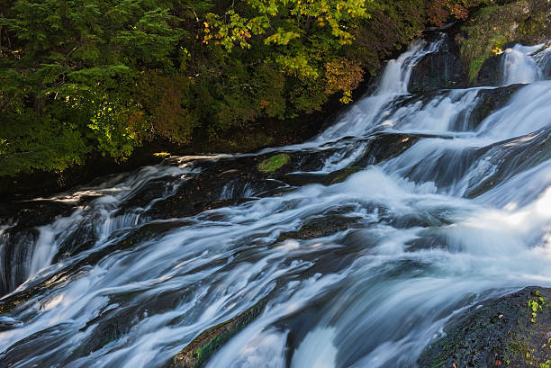 istock Nature waterfall in the forest water stream. 617368476