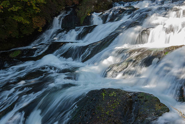 istock Nature waterfall in the forest water stream. 617368752