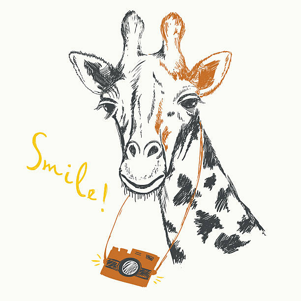 Fun sketch illustration of a giraffe photographer. Fun sketch illustration of a giraffe photographer. Vector graphics for design of greeting cards, invitations, t-shirts, bags, posters. vintage funny photos stock illustrations