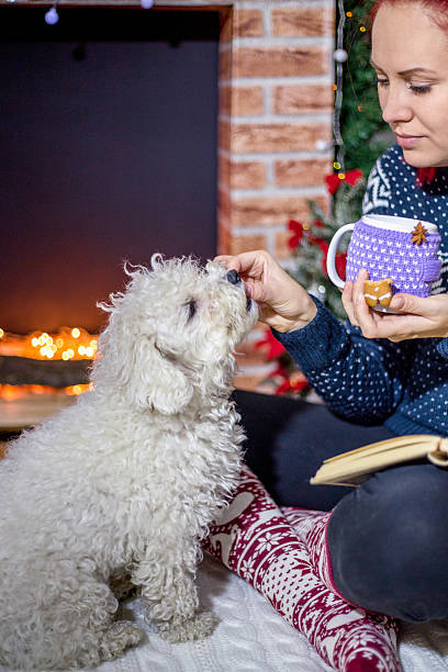 istock Beautiful lady and her dog eating ginger bread 617371178