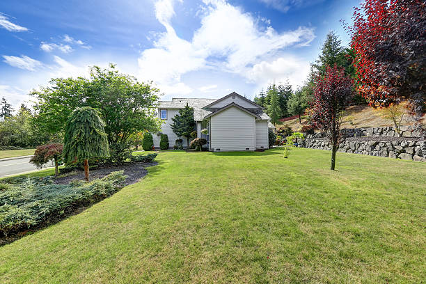 istock Luxury house exterior with well kept lawn 617375678
