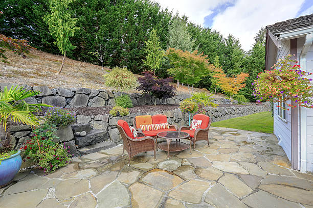 istock Gray clapboard siding house backyard area 617375764