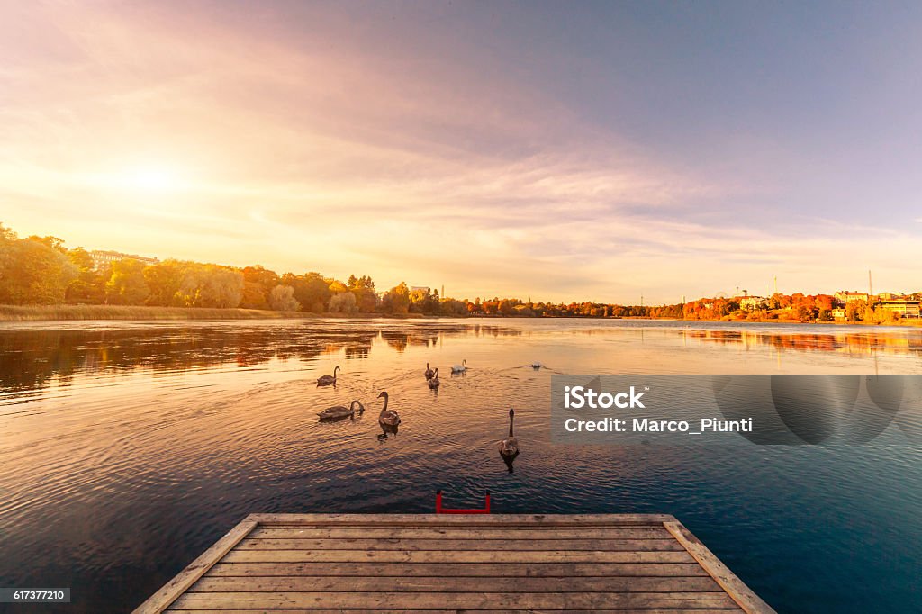 Sunset over lake landscape Lake Stock Photo