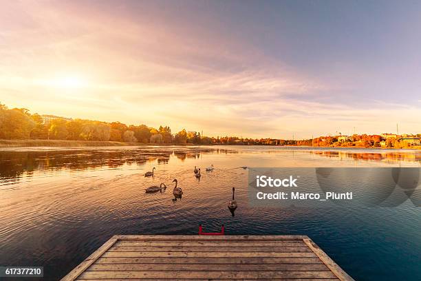 Sunset Over Lake Landscape Stock Photo - Download Image Now - Lake, Finland, Swan