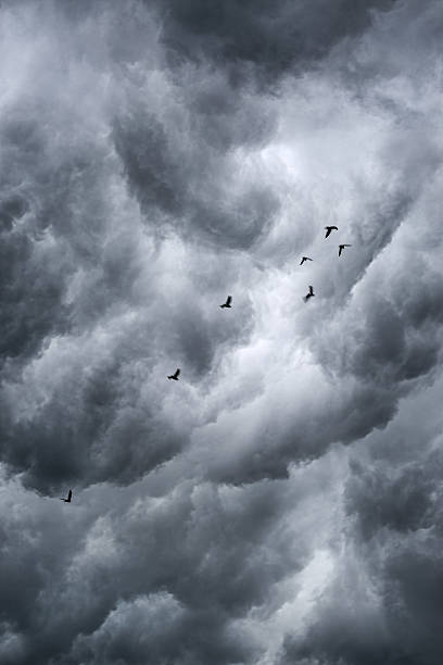 istock Background of storm clouds 617379750