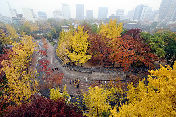 Maple subdued in the fall of the Palace to go.
