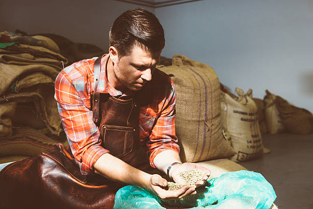 istock Adult worker looking down at coffee beans 617381650