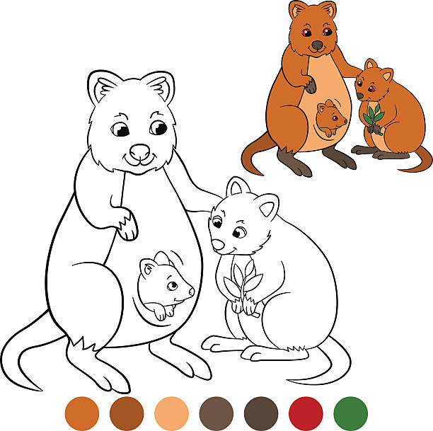 ilustraciones, imágenes clip art, dibujos animados e iconos de stock de coloréame: quokka. madre quokka con sus lindos bebés. - child silhouette animal copy space
