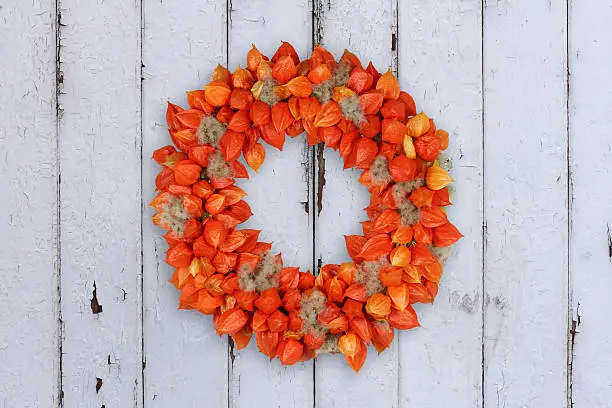 autumnal decoration wreath with dried sepals of Physalis alkekengi and fruits of Clematis vitalba on grunge background