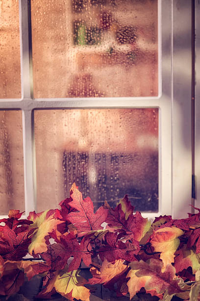 Decorated Window with Autumn Leafs, Pumpkins and other season material
