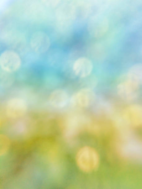 istock Abstract Defocused Field and Sky Background 617391116