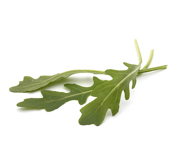 istock Sweet rucola salad or rocket lettuce leaves isolated 617392256