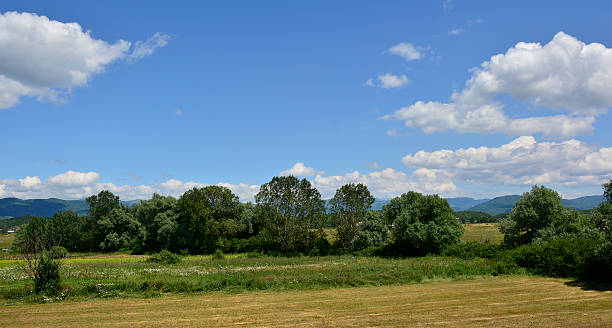 istock Landscape Near Niksic 617392686