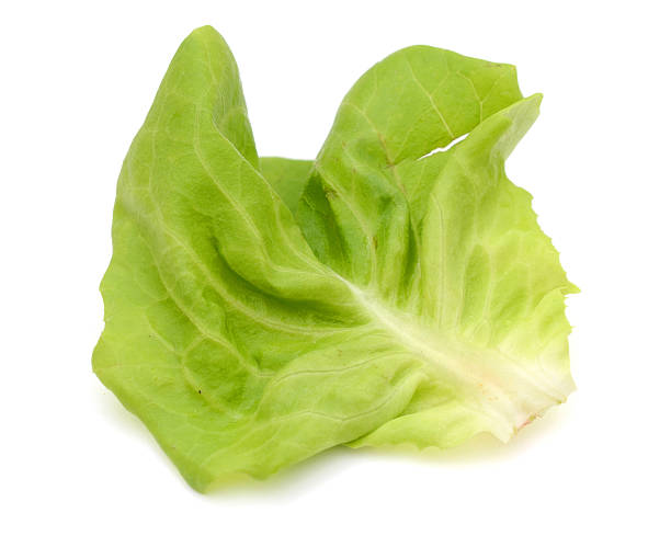 istock Fresh salad lettuce isolated on white 617394636