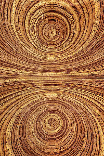 istock Closeup of old wood texture 617395020