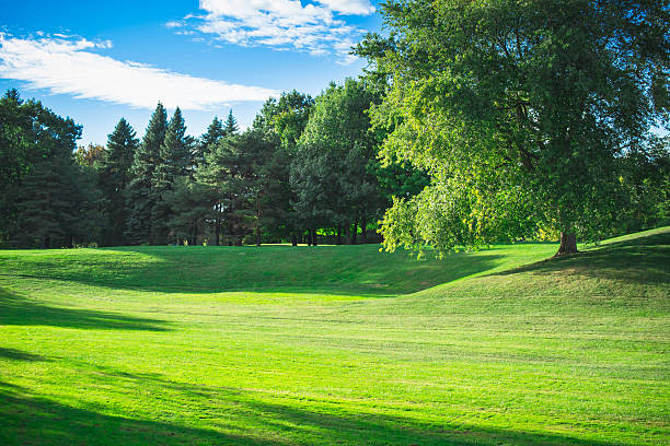 istock Park afternoon in sunny day with Blue Sky 617396586