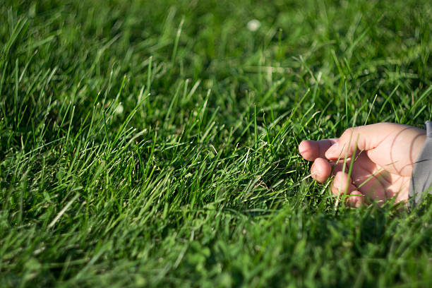 istock Hand on the Grass in Beautiful day, Relax Day 617396786