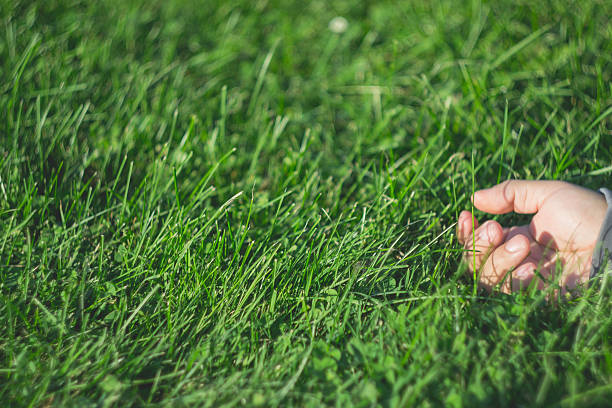 istock Hand on the Grass in Beautiful day, Relax Day 617396836