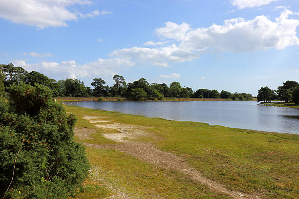 Hatchet Pond in the New Forest national park