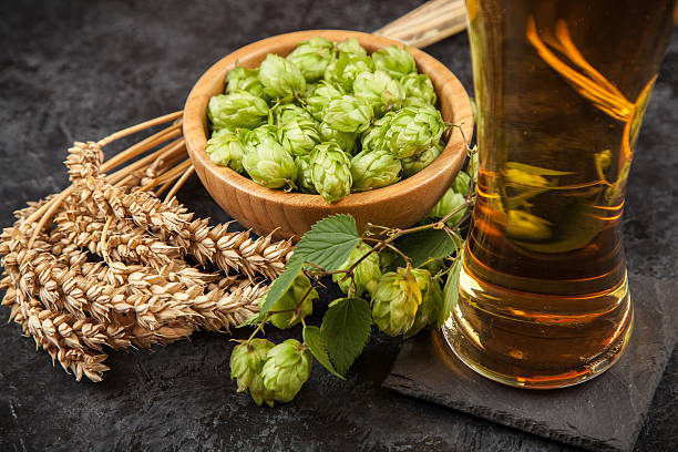 istock Beer glass on dark background 617561880