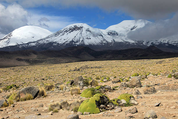 trzy szczyty wulkanu coropuna w górach andyjskich - coropuna zdjęcia i obrazy z banku zdjęć