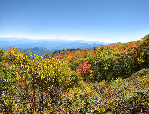 istock Beautiful colorful autumn mountain landscape. 617562608