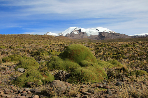 The three peaks of volcano coropuna in the andean mountains of Peru, near cotahuasi canyon