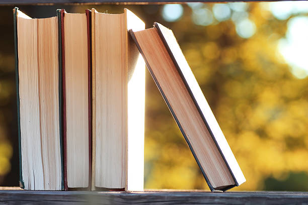 istock autumn book stack wooden outdoor 617563972