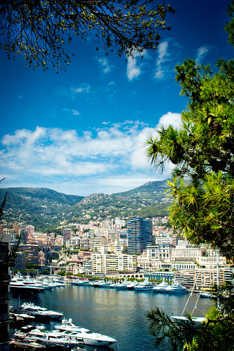 Buildings viewed from the harbour viewed through trees towards the Eastern edge of Monte Carlo.