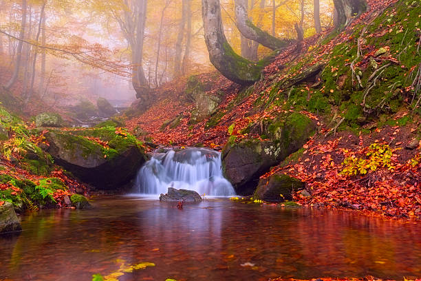 istock Beautiful autumn foggy forest with mountain waterfall 617565452