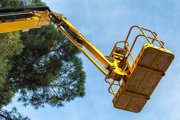 istock view of platform lift  to prune trees 617565530