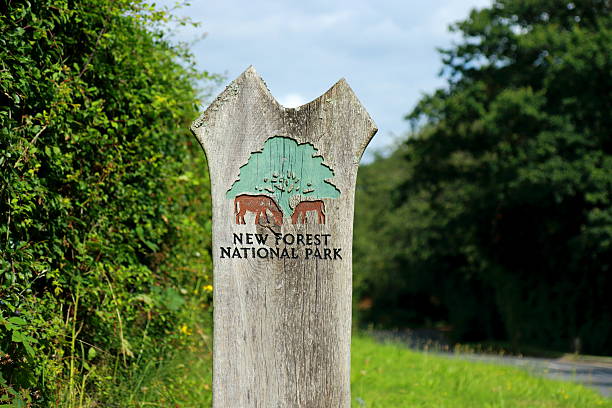 New Forest Signpost New Forest Signpost new forest stock pictures, royalty-free photos & images