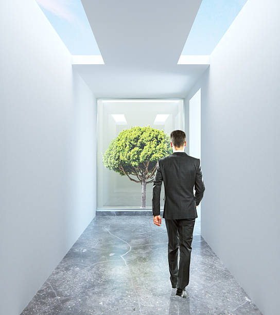 istock Businessperson walking towards tree 617568198