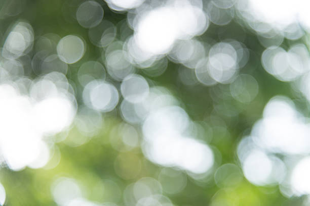 Green and White bokeh circles abstract background. stock photo