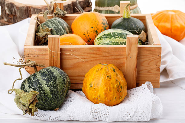 istock Little colorful ornamental pumpkins squash gourds. 617569516