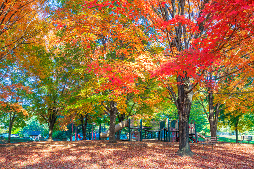 Trees with colorful autumn foliage give shade to a neighborhood children's playground.