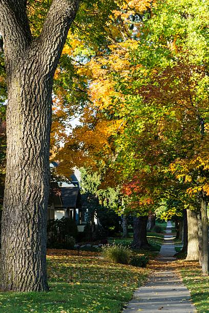 istock Middle Class Michigan Neigborhood in Autumn 617570412