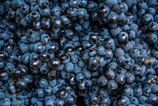 istock Close-up of Black Grapes 617571192