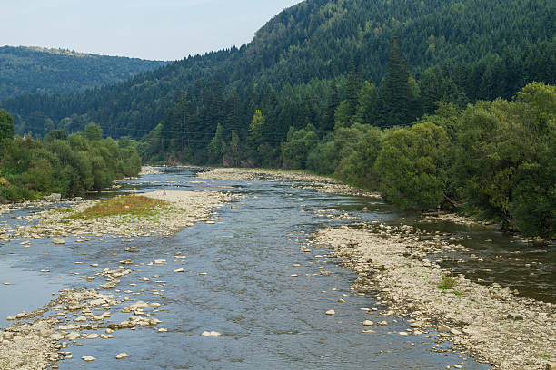 горная красивая река в карпатах - stone rock river pebble стоковые фото и изображения