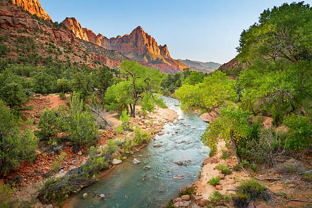 The Watchman at Sunset in Zion National Park Utah USA Landscape photo of The Watchman and the North Fork Virgin River at sunset in Zion National Park, Utah, USA. zion river stock pictures, royalty-free photos & images