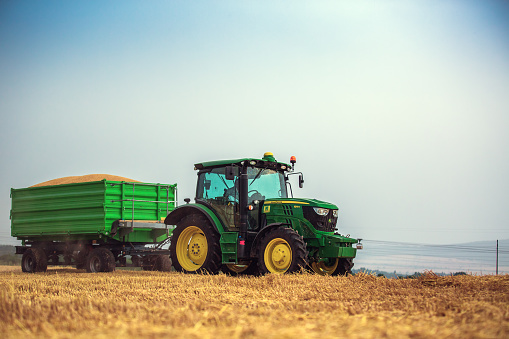 Varna Region, Bulgaria - June 20, 2015: A modern John Deere 6115R tractor with the trailer on a yellow field.The 6115R has Premium ComfortView cab.Full Frame design, 2.580 m wheelbase and 4.5 l DieselOnly PowerTech PVX engine